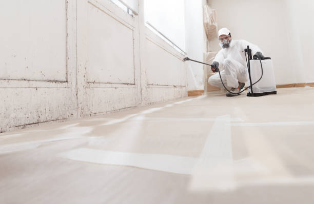 24/7 Emergency Mold Removal experts in North Bergen, NJ